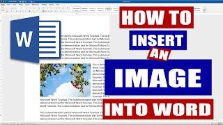 How to Insert an Image in Word  Microsoft Word Tutorials