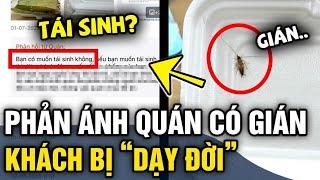 Đặt đồ ăn có SINH VẬT LẠ khách hàng góp ý thì quán liền DẠY ĐỜI  Tin 3 Phút