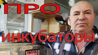 Сколько раз проветривать инкубатор? Для чего нам канал Ютуб?