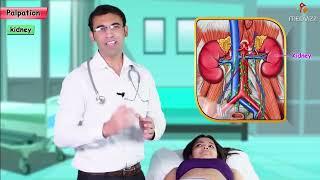 Abdominal examination - Inspection Auscultation Palpation and Percussion