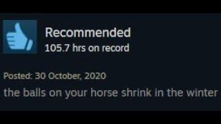 Guess the video game from the weird Steam review