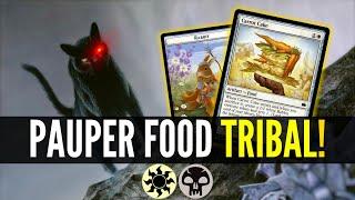 NEW Food COMBO Wins with ONE Creature in MTG Pauper