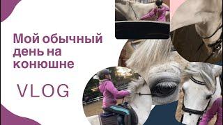  Vlog  Мой обычный день на конюшне