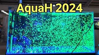 AquaH 2024 The UKs Largest Ever Coral Show It Was Epic