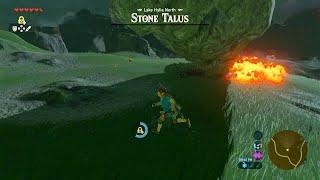 Stone Talus #40 - 6 - Lake Hylia North - Dueling Peaks - Breath of the Wild - Nintendo Switch Games