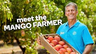 Meet the mango farmer - Fresh stories from farm