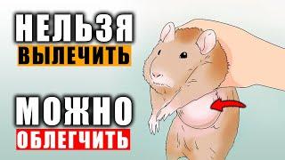 Что делать если опухоль у крысы нельзя удалить?