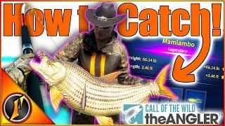 NEW AFRICA LEGENDARY Where & How to Catch Mamlambo the Legendary Tigerfish  theAngler