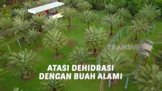 FULL ATASI DEHIDRASI DENGAN BUAH ALAMI  RAGAM INDONESIA 240323