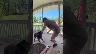 Dog becomes friends with the UPS delivery guy ️  -   Viralhog