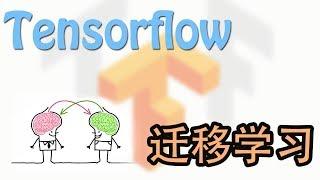 Tensorflow 26 迁移学习 Transfer Learning 神经网络 教学教程tutorial