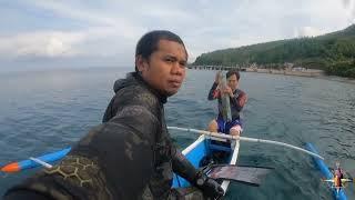 SPEARFISHING PHILIPPINES  MAORI SEA PERCH  MEL SPEARFISHING TV BANTON ROMBLON️