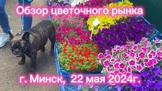 Обзор цветочного рынка. Город Минск 22 мая 2024 г.