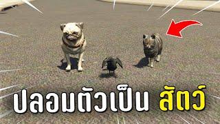 ปลอมตัวเป็นสัตว์ ไล่แกล้งคนในเกม GTA V Roleplay