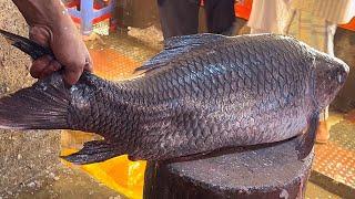 10 Kg Giant Rohu Fish Cutting With Huge Eggs In Fish Market  Fish Cutting Skills