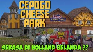 JALAN JALAN DI CEPOGO CHEESE PARK BOYOLALI  WISATA BARU