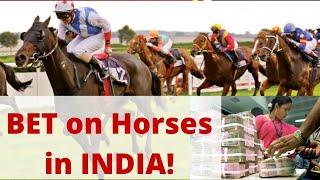 How to WIN at Horse Racing in India  Indias only LEGAL BETTING  With Surbirinder Singh Sidhu