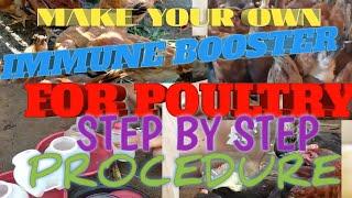 HOW TO MAKE IMMUNE BOOSTER FOR POULTRY STEP BY STEP PROCEDURE