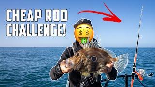 CHEAP FISHING ROD CHALLENGE Putting a $50 Kids Combo to the test - S8 EP8 Coromandel