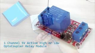 Configurable Active High or Low Relay Module with opto-isolated input