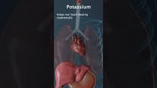 Potassium Deficiency