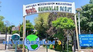 ANKARA KEÇİÖREN EVCİL HAYVAN PARKI -AİLECEK GİDİLECEK YER #evcilhayvanlar #ankarapark #keçiören