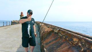 Spinning for Mackerel from the Pier  Sea Fishing UK