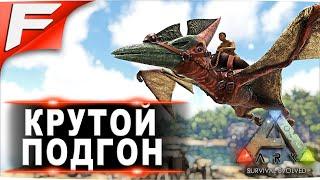 Крутой подгон  ARK PvE Official  Прохождение #2