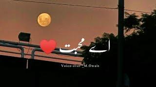 Ay Mohabbat  Sad Shero Shayari Status  Love Sad Poetry Whatsapp Status