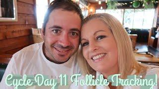 Day 11 Follicle Scan WOW Cycle Day 13 Positive Ovulation Test