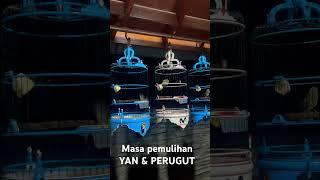 Masa pemulihan YAN & PERUGUT#short