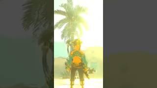 16 Seconds of Useless Information about BotW