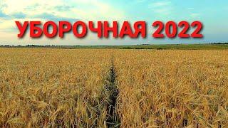 УБОРОЧНАЯ 2022 скоро. 31.05.2022