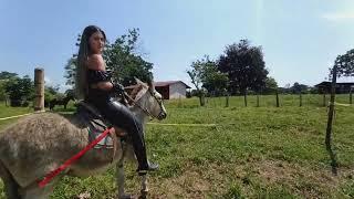 Donkey Riding  Esel Reiten 