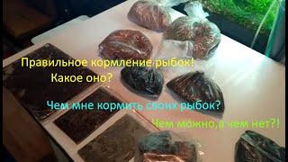 Правильное кормление рыбок