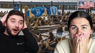 Brits Visit Pier 39 in San Francisco for the first time USA Trip VLOG