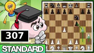 The Janzen-Korchnoi Gambit  Standard Chess #307