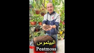 ما هو البيتموس Peatmoss