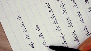 0.3mm플러스펜 으로 쓰는 맬맬체 한글 흘림체 궁체 AWSOME Korean Handwriting  很棒的韩文手写  素晴らしい韓国語の手書き 