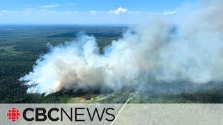 Wildfires and extreme temperatures prompt parts of Alberta B.C. to take action