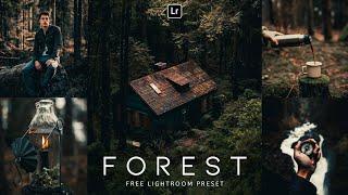 Forest - Lightroom Mobile Preset  Moody presets  Green preset  lightroom presets