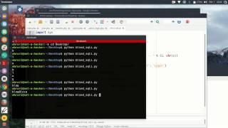 Tutorial 28 Web - Blind SQL injection