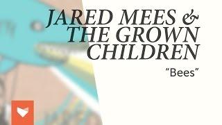 Jared Mees & The Grown Children - Bees