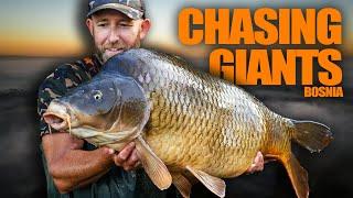 1300 Mile Trip + Mark Pitchers = Huge Carp     Carp Fishing in Bosnia