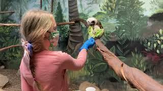 Animal Encounters at Oglebay Good Zoo