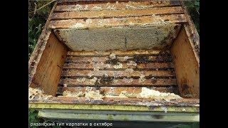 пчелы на участке есть но мед они носят плохо - ошибки пчеловода