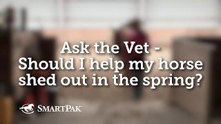 Ask the Vet - Should I help my horse shed out in the spring?