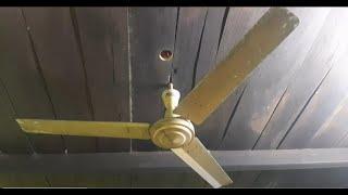 56 Jamuna Ceiling Fan