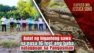 Balat ng higanteng sawa na nasa 16 feet ang haba natagpuan sa Pangasinan  Kapuso Mo Jessica Soho