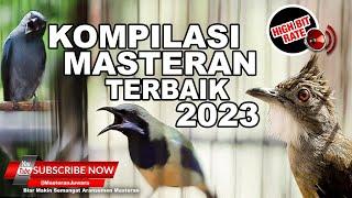 #1Bikin Melongo Isian Mewah Semua️KOMPILASI Masteran Juara Terbaru 2023